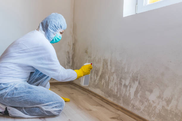 Mold Remediation specialist working in Emerson